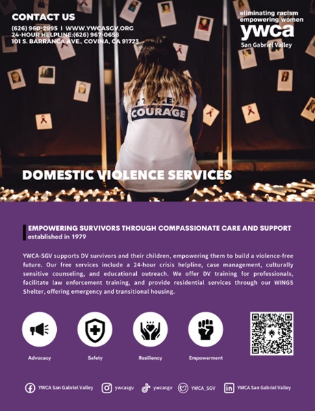 Domestic Violence Services